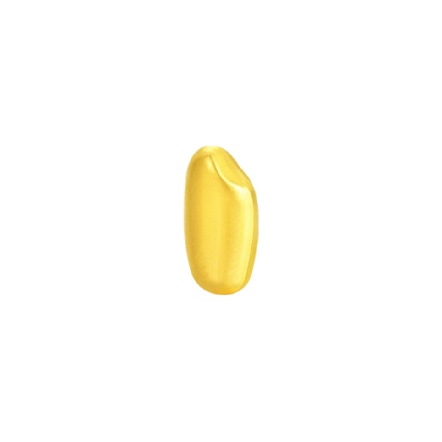 大米金豆